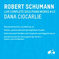 Sonate pour piano n°2 en sol min op 22 : 4. Rondo