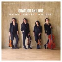 Quatuor à cordes n°14 en Sol Maj K 387 (Le printemps) : 4. Molto allegro