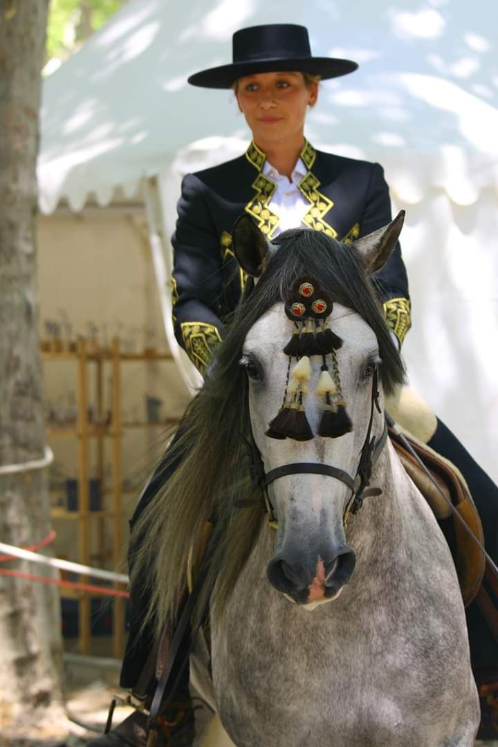 Célia Le Corre, éleveuse de chevaux espagnols à Labrit.