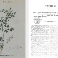 Herbier officinal, description des plantes champêtres les plus usuelles en pharmacie et en économie domestique. Catros Gérand (1824-1910). Date d'édition : 1856.