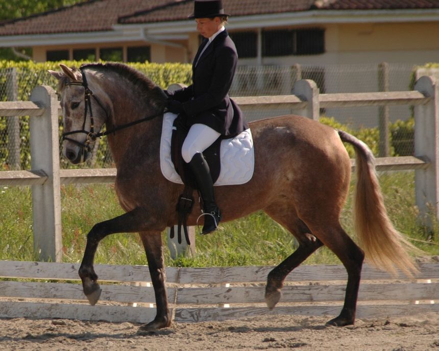 Célia Le Corre, éleveuse de chevaux à Labrit.