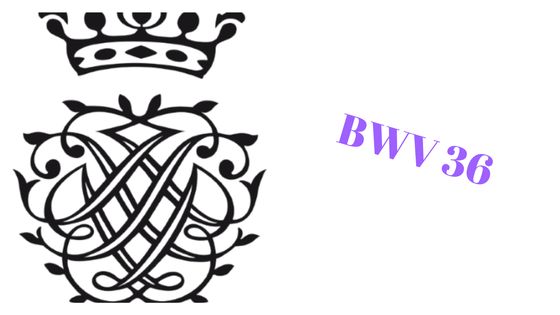 BWV 36