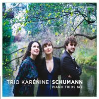 SCHUMANN Trio n°1 en ré min op 63 : Lebhaft doch nicht zu rasch - pour violon violoncelle et piano