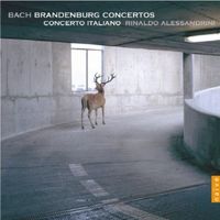 Concerto brandebourgeois n°2 en Fa Maj BWV 1047 : 1er mouvement - pour trompette flute traversiere hautbois violon cordes et basse continue