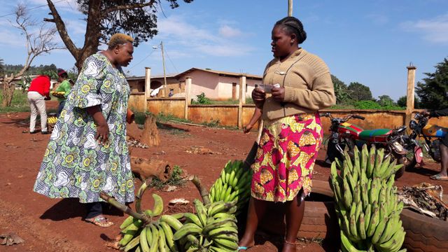 Vente de bananes au bord de la route. Les femmes vivent de ces productions de fruits et légumes