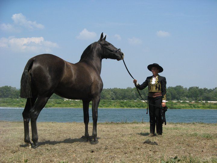 Célia Le Corre.