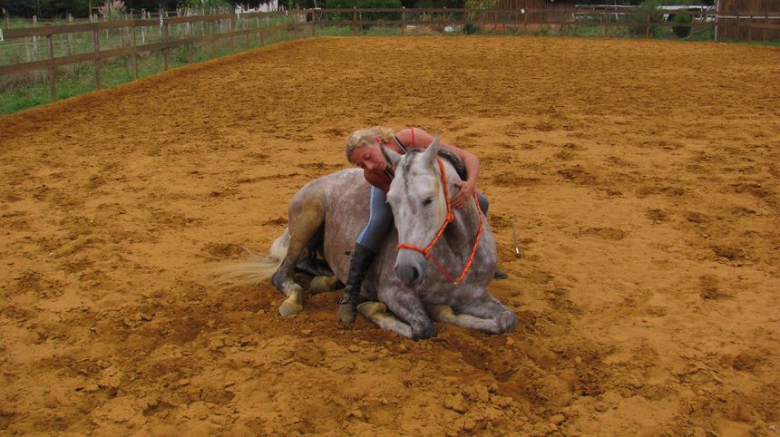 Célia Le Corre, éleveuse de chevaux espagnols.
