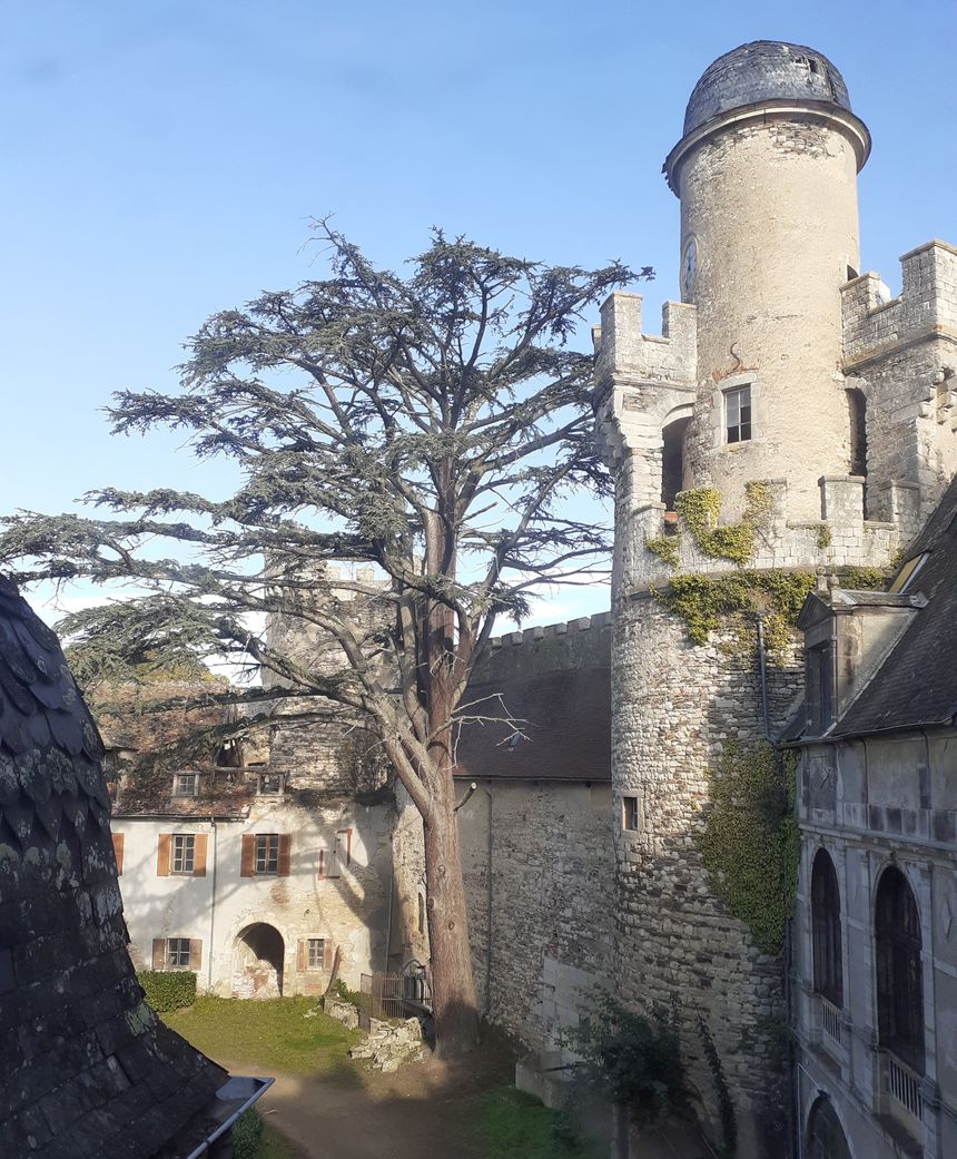 Le château de Veauce dans l'Allier