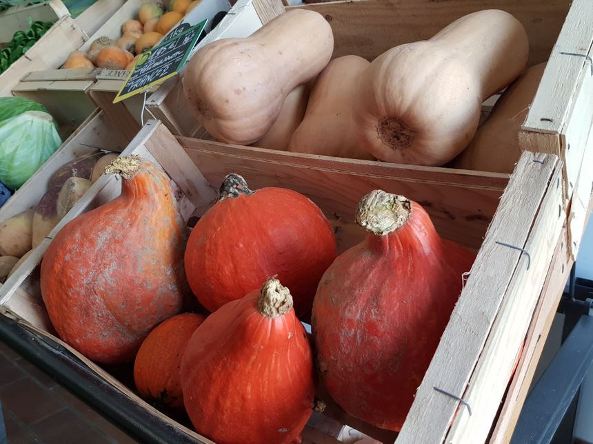 Quelques courges de saison