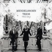 Trio n°1 en ré min op 49 : Molto allegro ed agitato - pour violon violoncelle et piano
