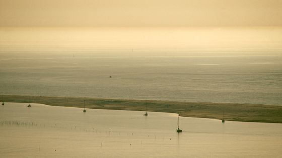 Le bassin d'Arguin (Arcachon) au soleil couchant. - Philippe ROY/Gamma-Rapho via Getty Images