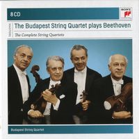 Quatuor à cordes n°7 en Fa Maj op 59 n°1 (Rassoumovsky) : Allegro