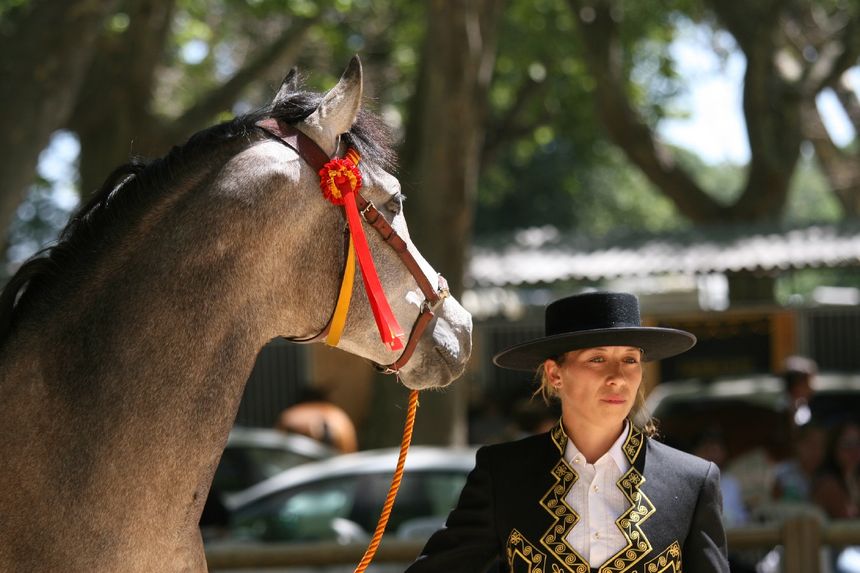 Célia Le Corre, éleveuse de chevaux à Labrit.