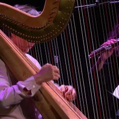 Ton-Thât Tiêt : Incarnations structurales I. (Trio Salzedo)