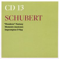 Wanderer Fantasie pour piano en Ut Maj op 15 D 760 : 1. Allegro con fuoco ma non troppo