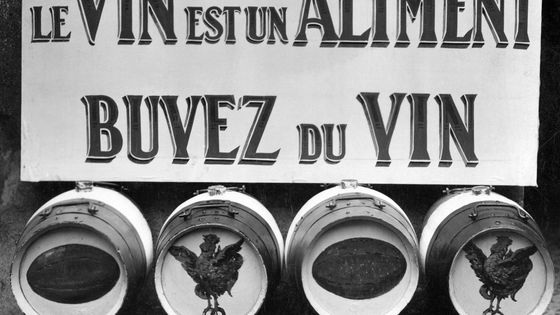 Photo de 1930 d'une publicité pour le vin "Le vin est un aliment, buvez du vin", prise en marge du tournoi des cinq nations de rugby. ©AFP