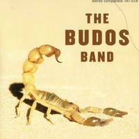 Budos Rising