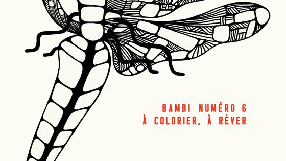 Couverture de l'album de coloriage artistique "Bestiaire de bestioles" - Aude Villerouge, éditions solo ma non troppo