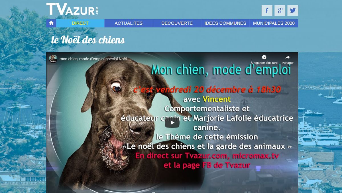 L Emission Mon Chien Mode D Emploi Sur Le Site Tvazur Com