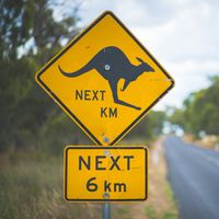 Animaux sauvages et villes : cohabitation et confrontation. Ici, un panneau signalisant la traversée de kangourous sur une route rurale australienne.