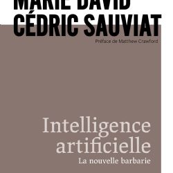 Couverture de l'ouvrage de Marie David et Cédric Sauviat