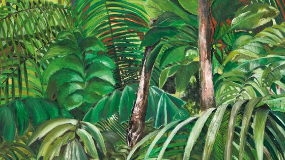 Amazonia - Valérie Aboulker
