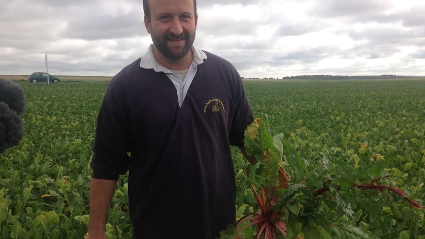 Alexis Hache dans son champs de betteraves