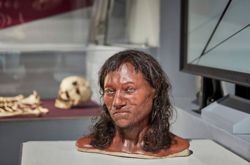 Homo Sapiens