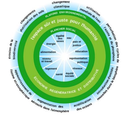 La donught économie intègre les questions sociales aux questions environnementales.
