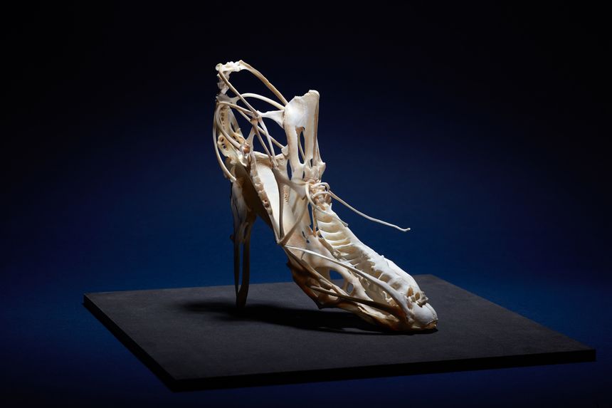 Vanity shoes - La bottine Os de volaille