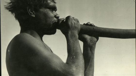 Un Aborigène en 1900 souffle dans un didgeridoo, instrument traditionnel, cousin du cor de chasse ©Getty - Mansell