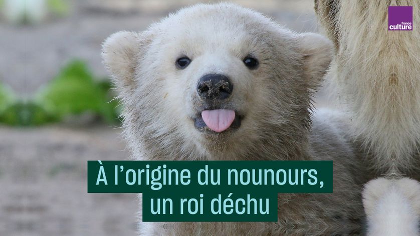 L Ours Histoire D Un Roi Déchu À l'origine du nounours, un roi déchu