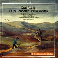 Concerto pour violoncelle en sol min : 3. Allegro ma non troppo