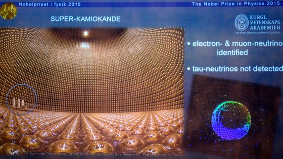 Le super Kamiokande ©AFP - JONATHAN NACKSTRAND