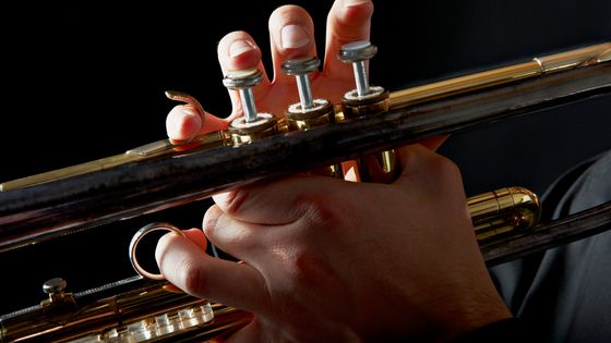 Trompette - Musique connectée 25/12/2019 ©Getty - Wilfried Krecichwost
