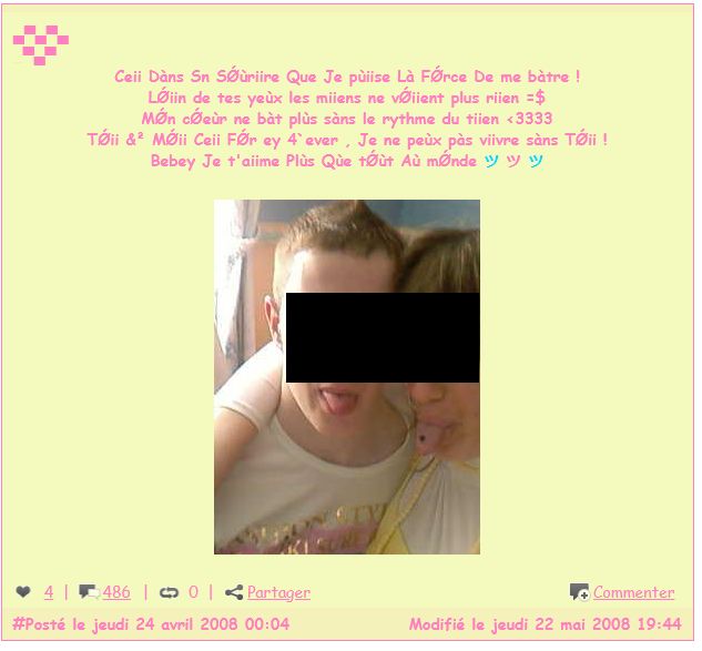 Capture d'écran (anonymisée) d'un Slyblog.