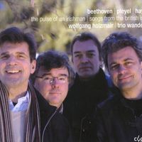 12 irische lieder WoO 154 : The pulse of an irishman WoO 154 n°4