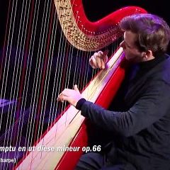 Frédéric Chopin : Fantaisie-Impromptu en ut dièse mineur op. 66 (Alexander Boldachev)