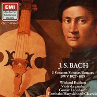Sonate n°3 en sol min BWV 1029 : Allegro - pour viole de gambe et basse continue
