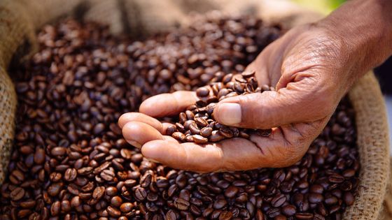 Grains de café fraîchement torréfié, aromatique et équilibré; ©Getty - wundervisuals
