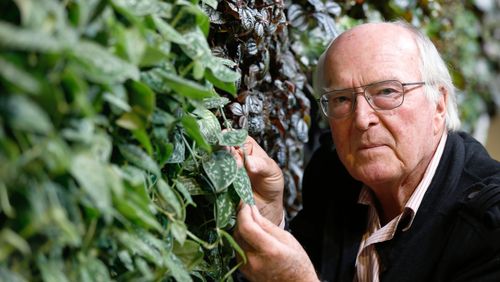 Francis Hallé, l’homme qui rêvait des arbres