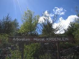 L'arboretum de Roure
