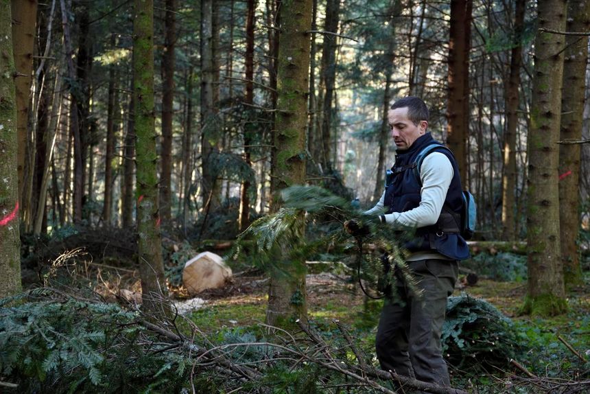 Grégory Haye en forêt