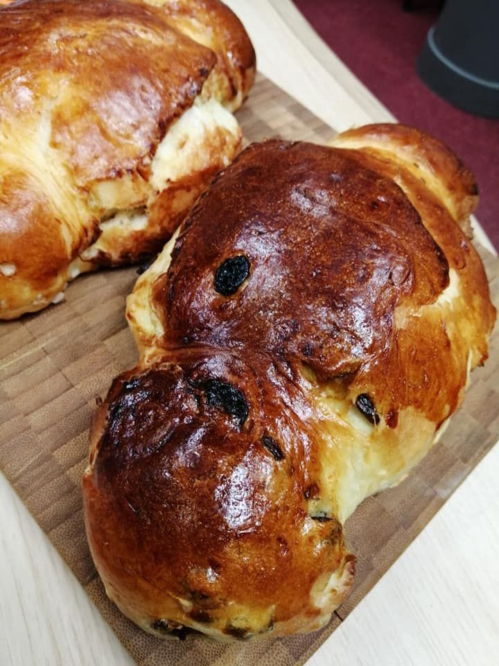 cougnou coquille