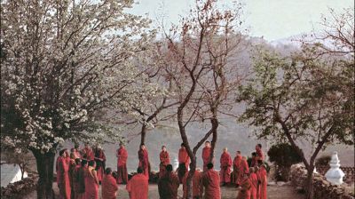 L'album "Tibet - traditions rituelles des bonpos", sorti en octobre 2019 sur Ocora