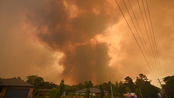 Bargo au Sud-Ouest de Sidney (21/12/19) ©AFP - Peter Parks