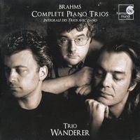 Trio n°1 en Si Maj op 8 : Allegro con bio
