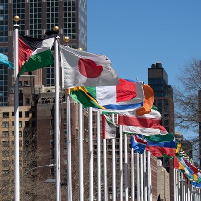 Germany takes over chairmanship of UN Security Council