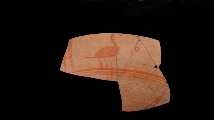 Fragment de "bol à oiseau" (fin VIIe. av. notre ère) issu de Grèce orientale (région de Clazomènes), mis au jour sur l'oppidum de Saint-Blaise.