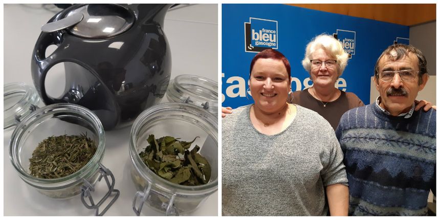 Les plantes médicinales de la ferme Coumet de Préchacq-les-Bains dégustées en direct avec nos producteurs et Marie-Colette notre auditrice gourmande du jour